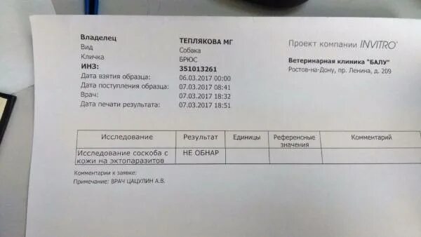Гемотест сдать клеща. Демодекоз сдать анализ. результат анализа на демодекс. демодекоз анализ результат.