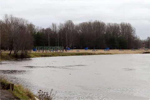 Подзеленье ярославль парк подзеленье фото