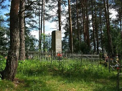 Ленинградская область 41к 313 30 заберег