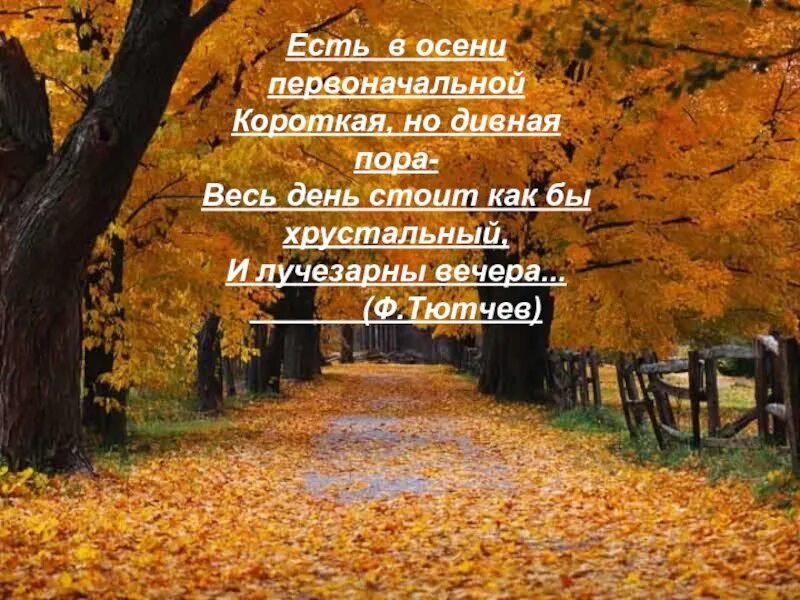 Есть всени первоночальной короткая но диная пара. Осень дивная пора. День стоит ли еще. Есть в осени первоначальной короткая но дивная пора. Тютчев есть в осени первоначально.