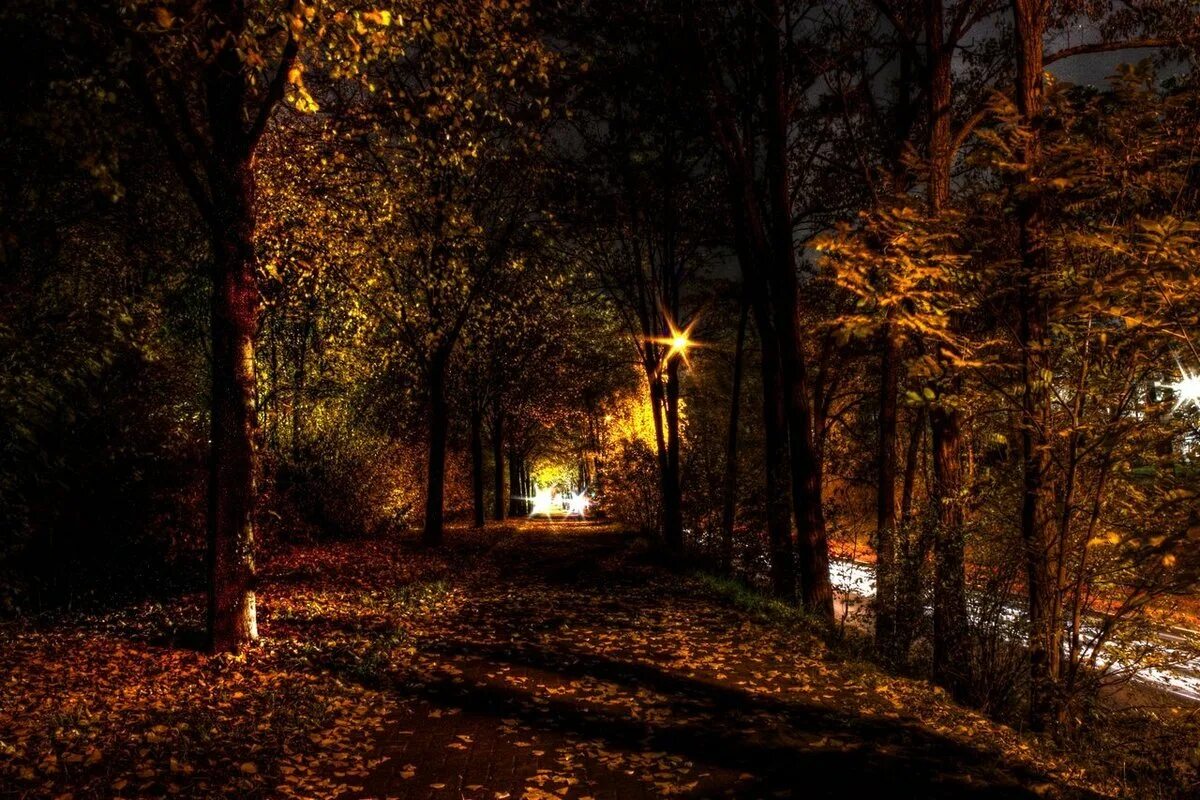 Осень вечер. Осенняя ночь. Осенний вечер. Осенний парк вечером. Темным осенним вечером