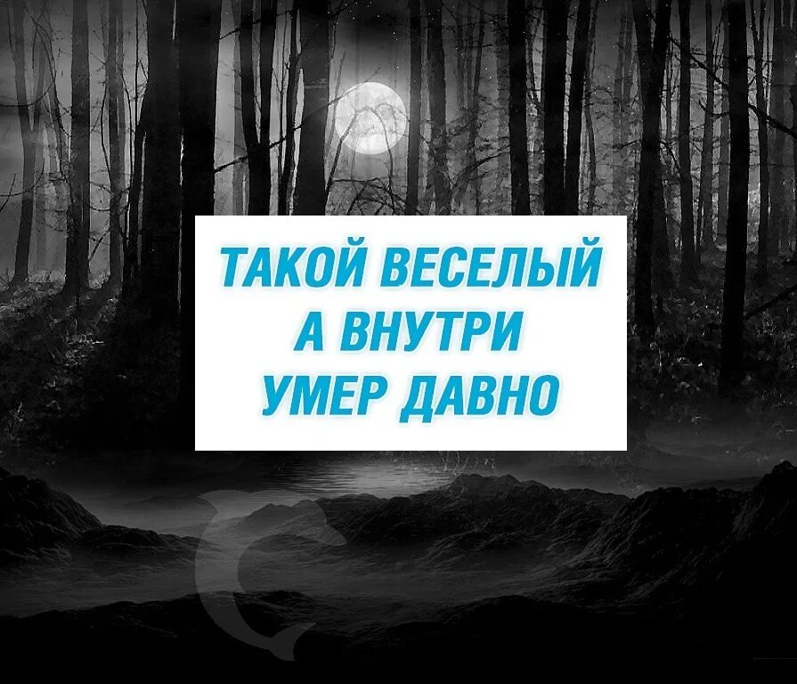 Тихо погибаю внутри цитаты. Умираю изнутри песня