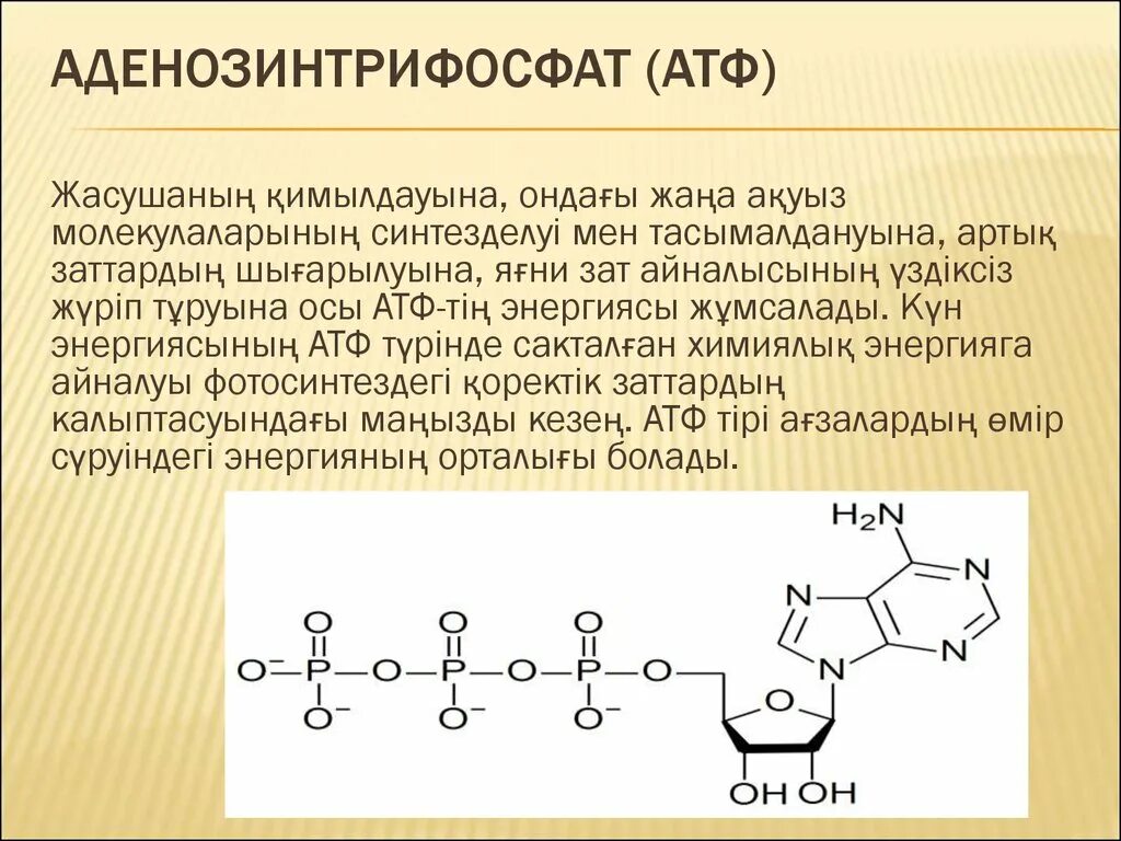 3 части атф. Формула АТФ биология. Молекула АТФ аденозин. АТФ структура устойчивость. Химическая формула аденозинтрифосфата.