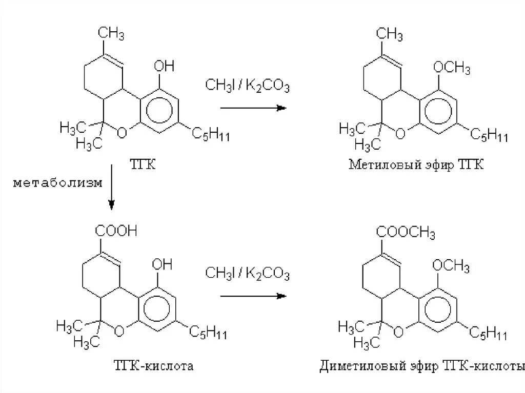 Эфир иметься. Химическая схема каннабиноиды. Тетрагидроканнабинол метаболиты. Биотрансформация тетрагидроканнабинола. Метаболизм тетрагидроканнабинола.