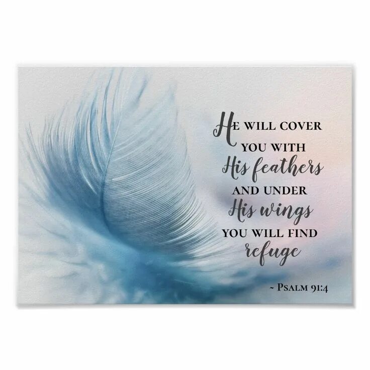 Feathering his own. He will Cover you with his Feathers and under his Wings you will find Refuge перевод на русский. He will Cover you with his Feathers and under his Wings you will find Refuge откуда эта фраза.