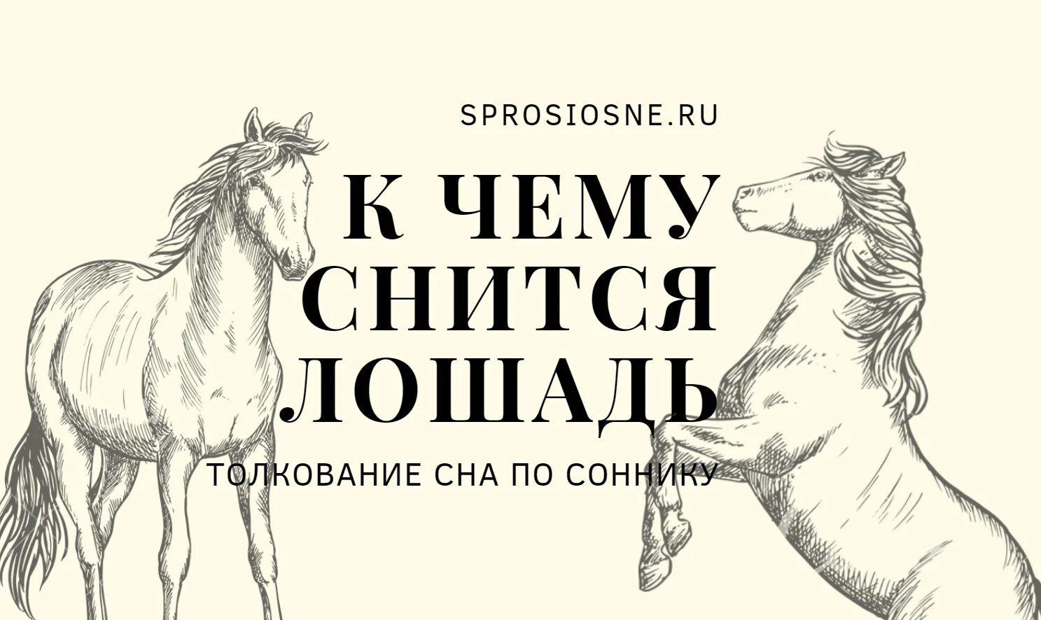 Толкование снов к чему снятся лошади. Сонник к чему снится лошадь. Лошадь во сне к чему снится. К чему снится конь лошадь. К чему снится ложади.