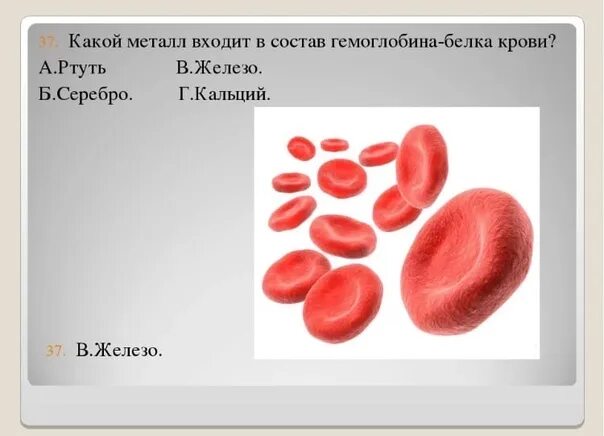 Ионы железа входят в состав гемоглобина крови. Какой металл входит в состав гемоглобина. Железо входит в состав гемоглобина. Что входит в состав гемоглобина крови. Металл входящий в состав гемоглобина.