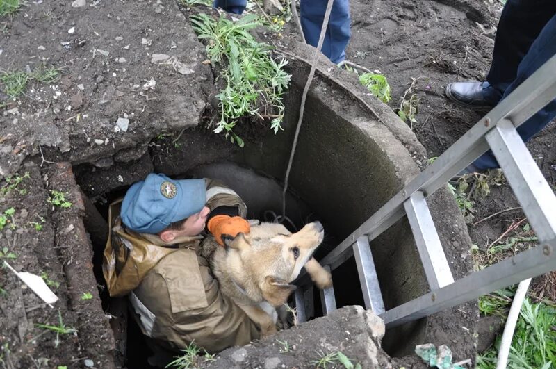 Попавших в беду людей не