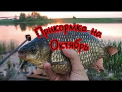 Карась поздней осенью