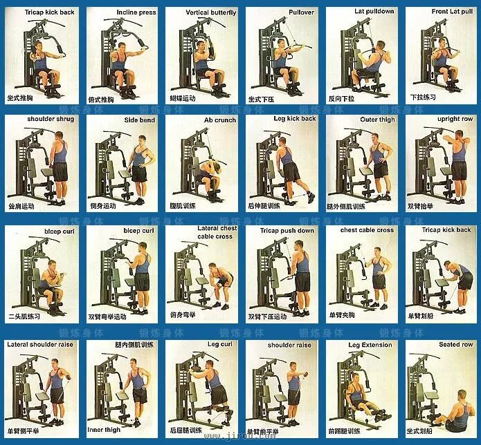 Круговая тренировка упражнения для девушек в тренажерном зале. Упражнения на силовом тренажере. Программа занятия на тренажере. Weider weight system exercise guide pn 304139. Плакаты в тренажерный зал с упражнениями.