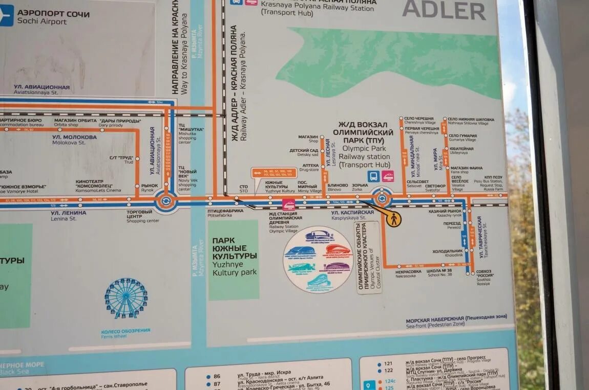 Вокзал олимпийский парк расписание. Автобусные маршруты Адлера схема. Ж/Д вокзал Адлер схема вокзала. Автобус от аэропорта Адлер до Псоу. Маршруты автобусов Адлер Сочи.