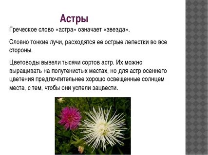 Расшифровка астр