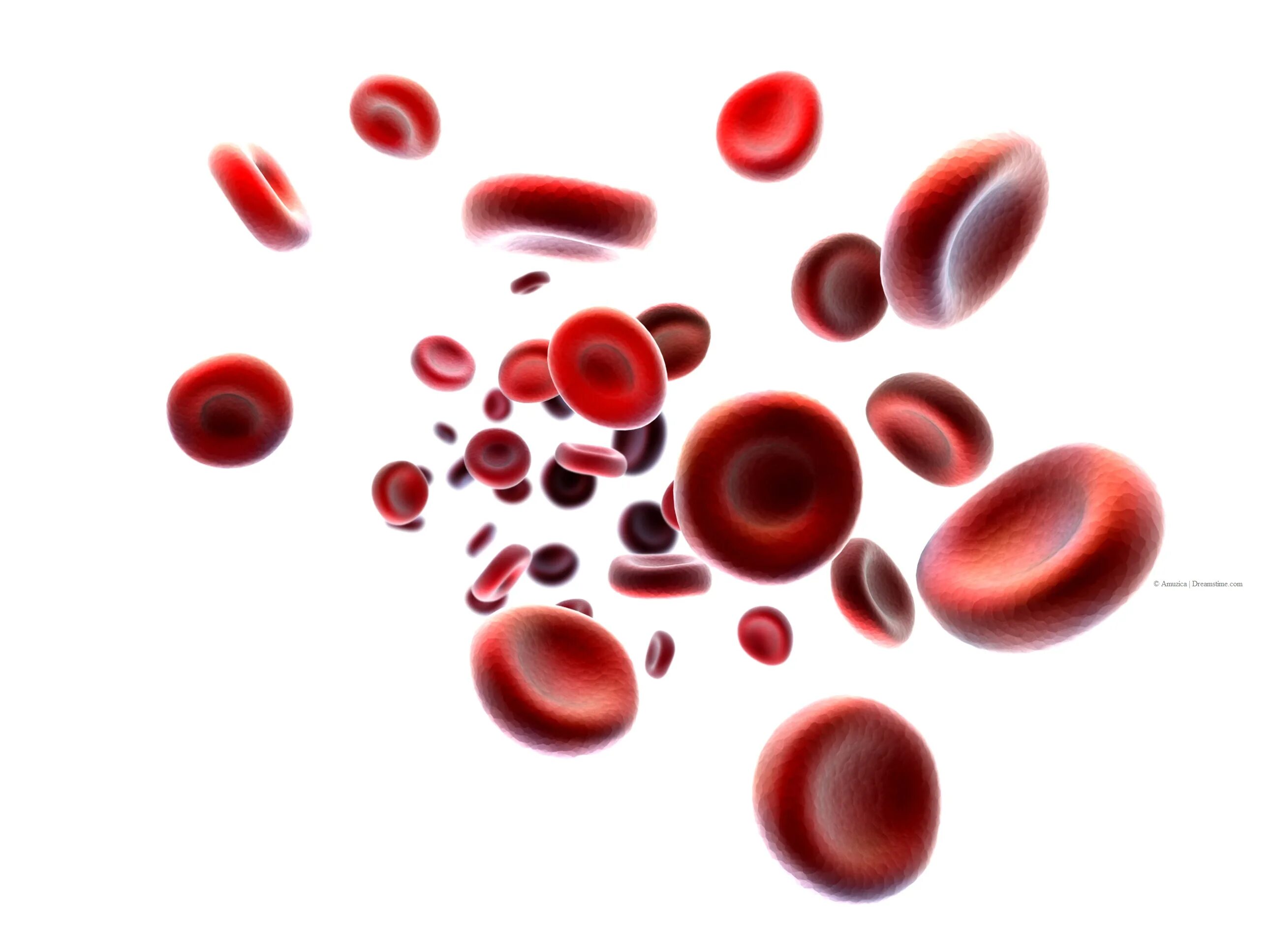 Эритроциты в плазме крови. Клетки крови гемоглобин. Клетки крови эритроциты. Эритроциты красные кровяные клетки.