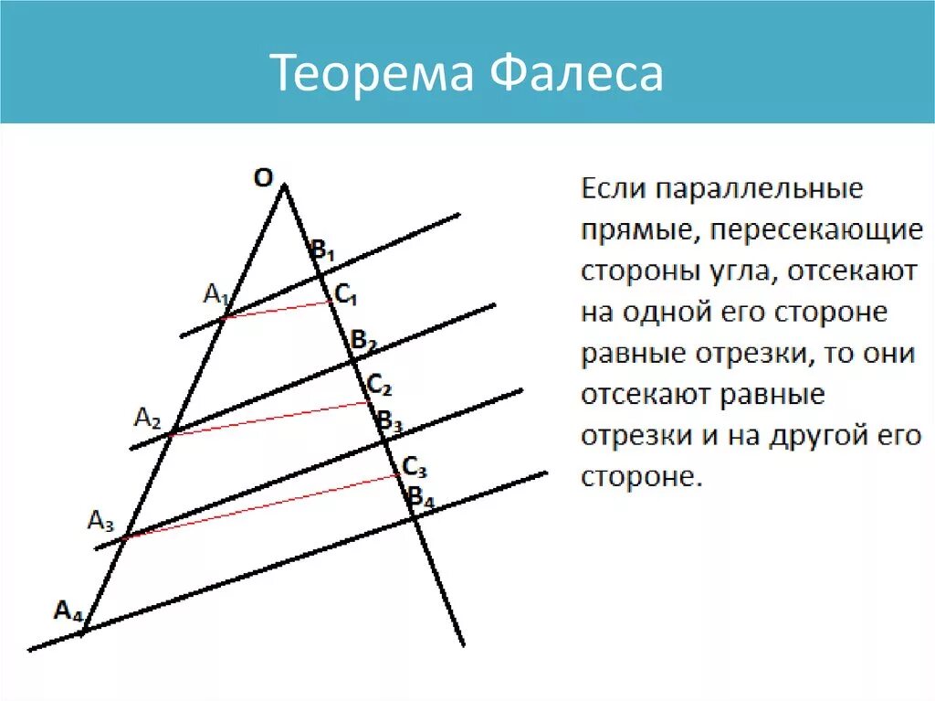 Теорема фалеса чертеж