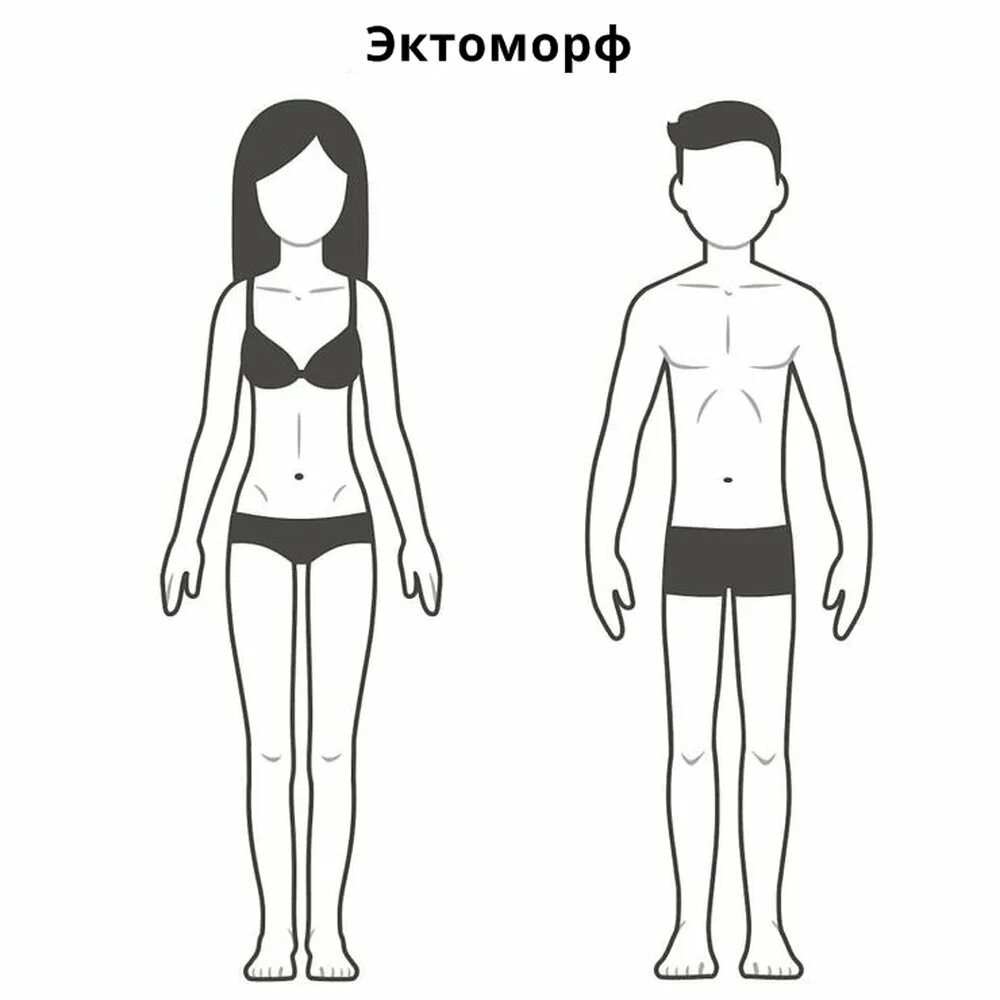 Среднее строение тела. Типы тела эктоморф мезоморф. тип телосложения эктоморф. тип телосложения эктоморф мезоморф. тип фигуры эктоморф.