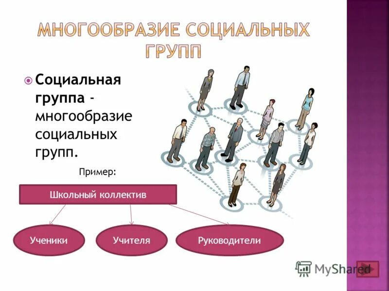 Тест культура и ее многообразие. Многообразие социальных групп. Многообразиеслциальных групп. Многообразие социальных групп схема. Многообразие социальных групп примеры.