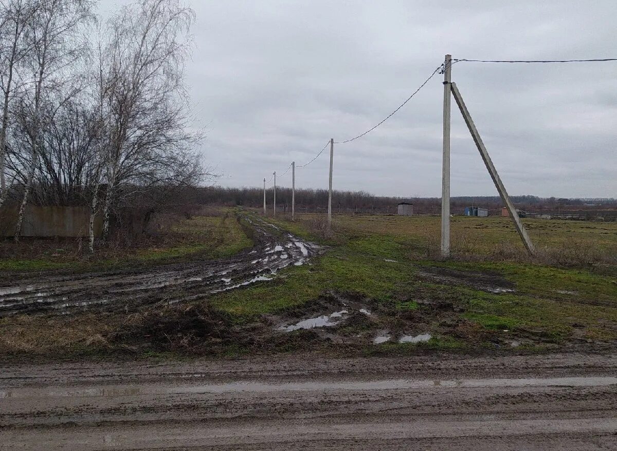 Брюховецкая красная нива. Сельская дорога. Хутор красный Краснодарский край. Хутор красная Нива Брюховецкого района 20а. Болотное район.