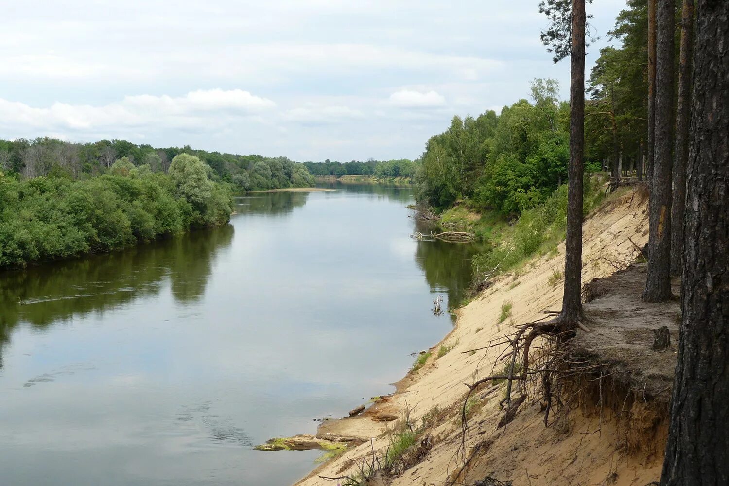 берег клязьмы. скульптура на берегу клязьмы. пикник на клязьме. берег клязьмы пушкинского района. река клязьма пляж.