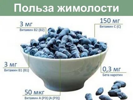 Жимолость калорийность
