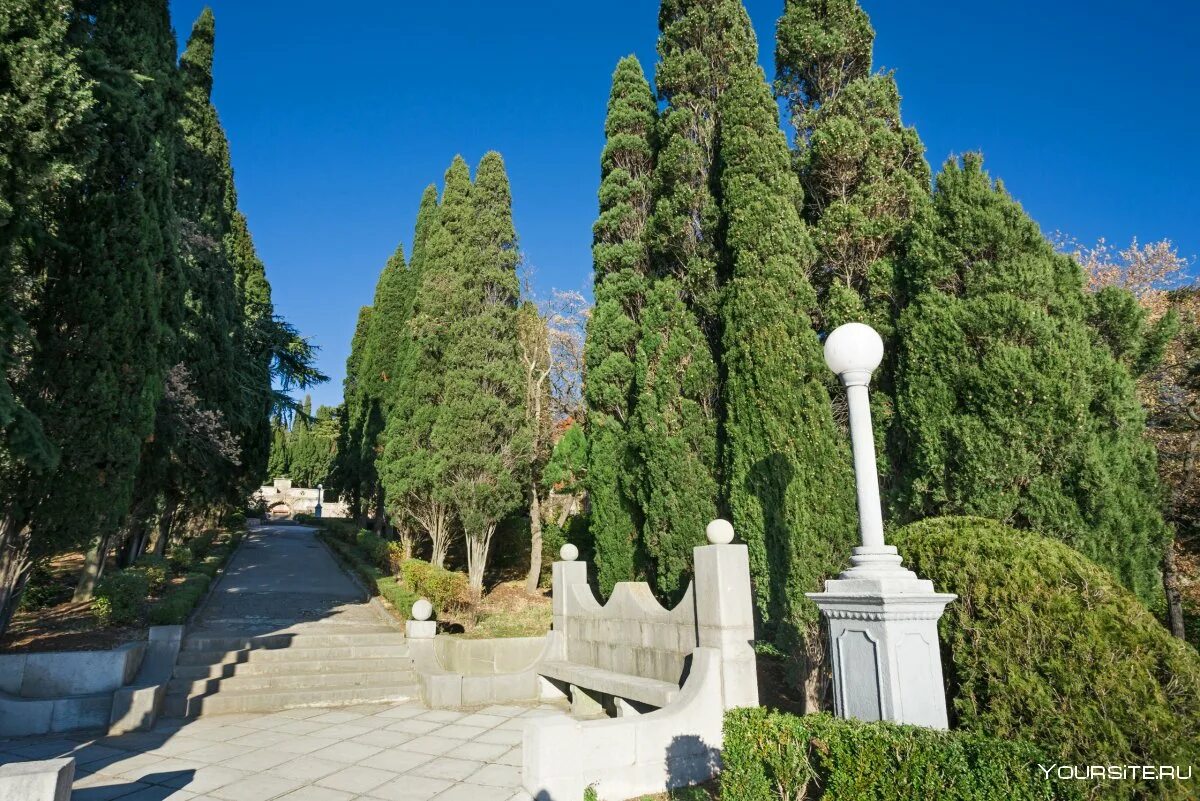 Ялта парк купить. Мисхорский парк Ялта. Харакский парк Крым Ялта. Харакский парк Гаспра. Ялта Мисхор парк.