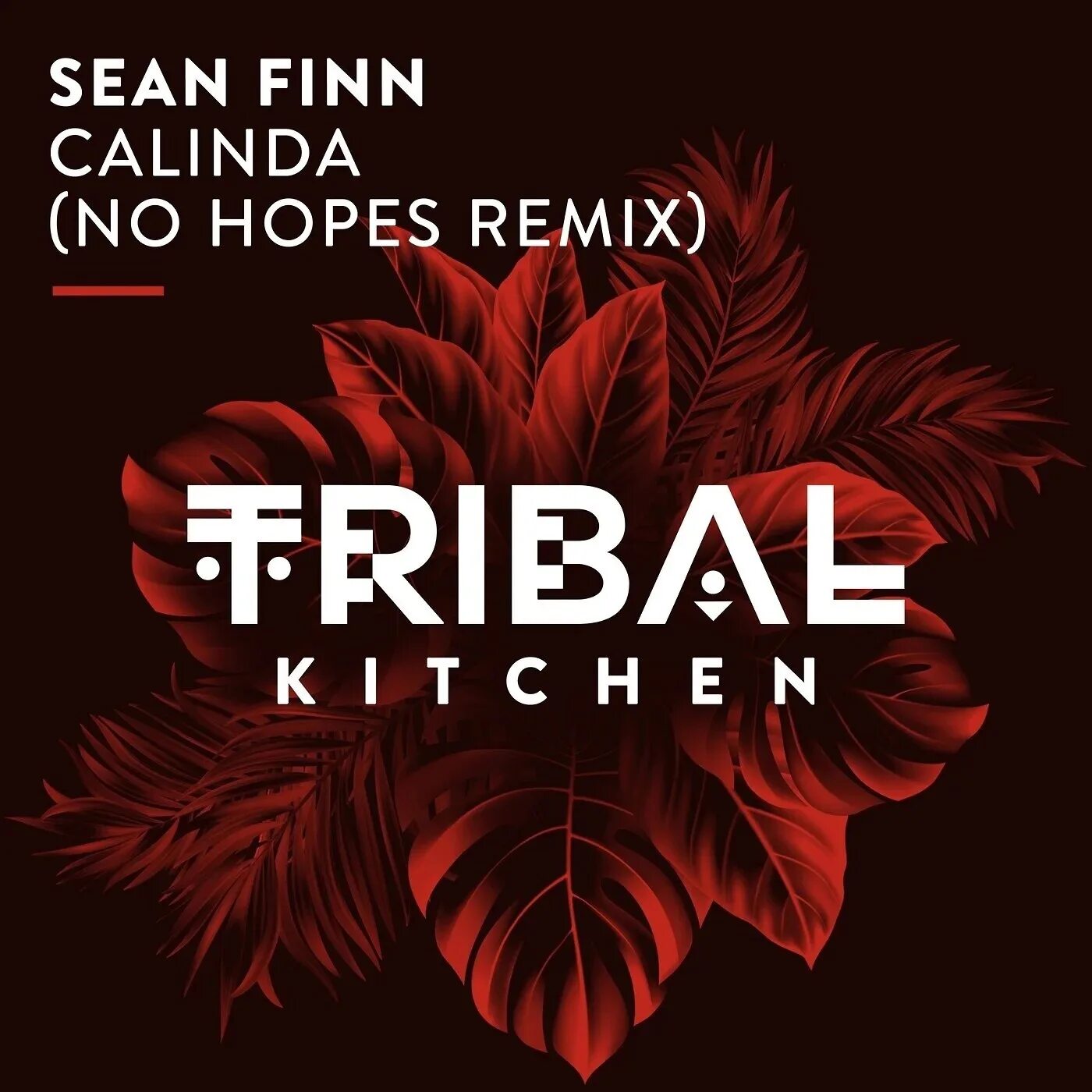 Sean Finn. Sean Finn the Soundlovers Run away. Дип Хаус 2022. Sean Finn, Paul Jockey Dare me (Qubiko Remix). Love like remix