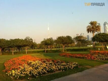 Safa park