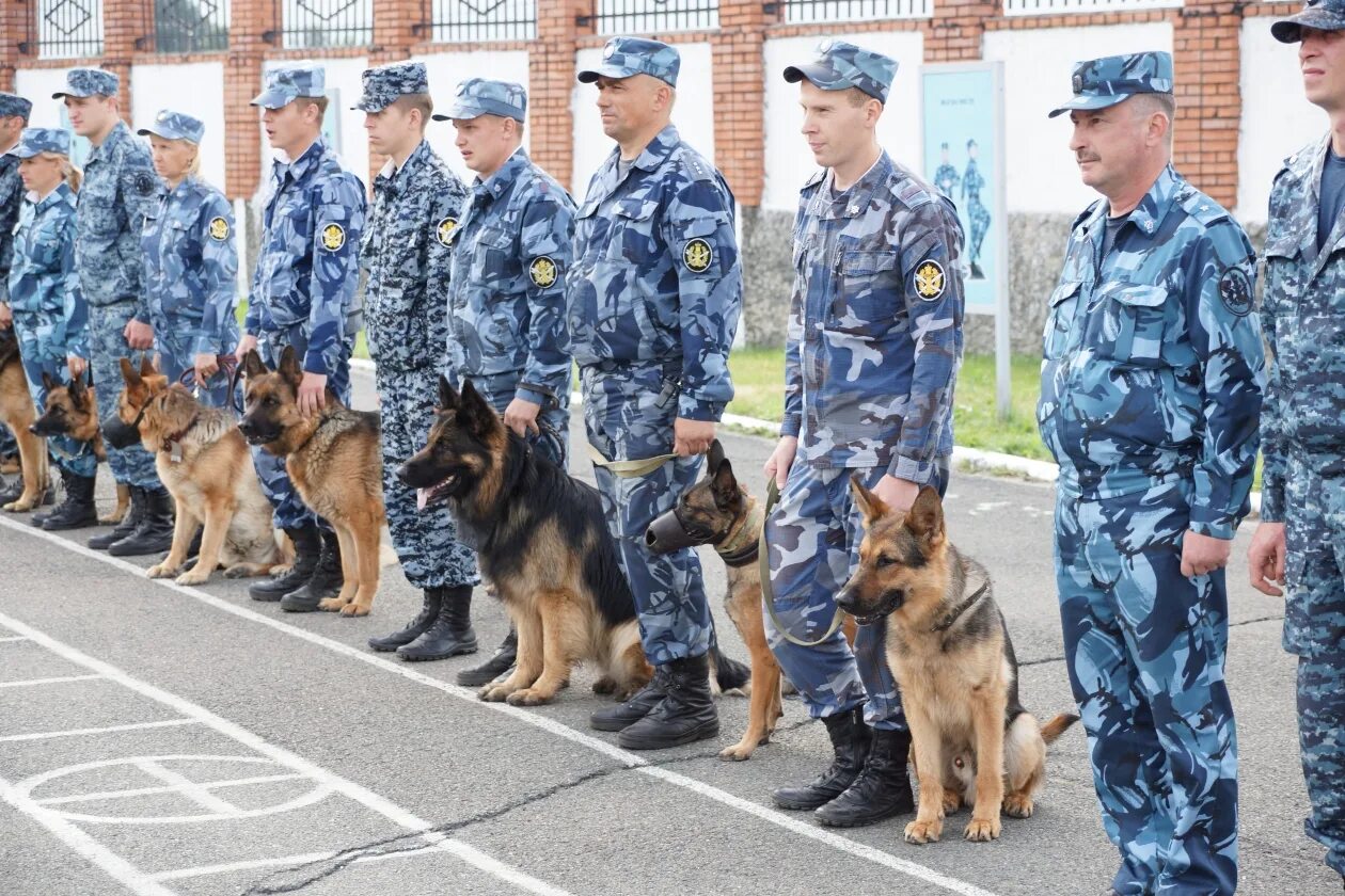 Кинолог высшее. Кинологи ФСИН. Кинологическая служба России УИС. Кинологи ГУФСИН России. Служебные собаки ФСИН.