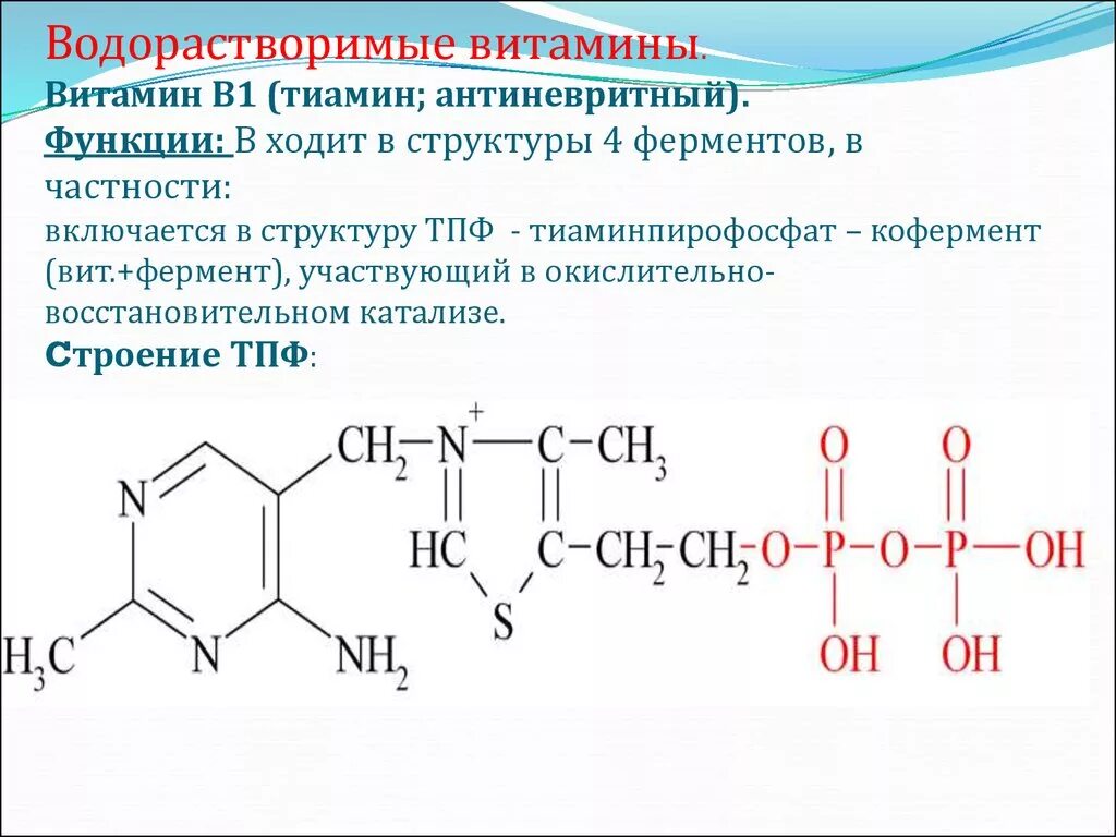 Основные водорастворимые витамины. Кофермент тиамина витамина в1. Витамин b1 структура. Структура кофермента витамина в1. Химическая структура витамина в1.