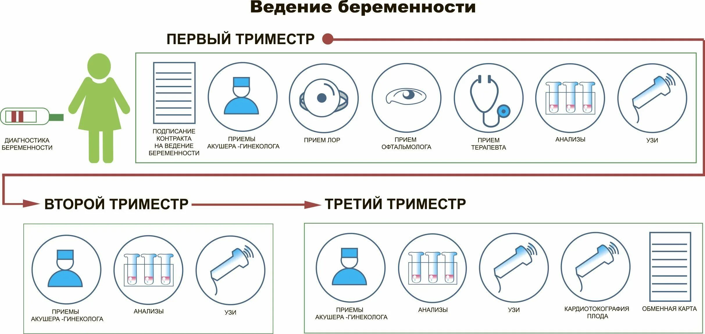 Тест по беременности и родам