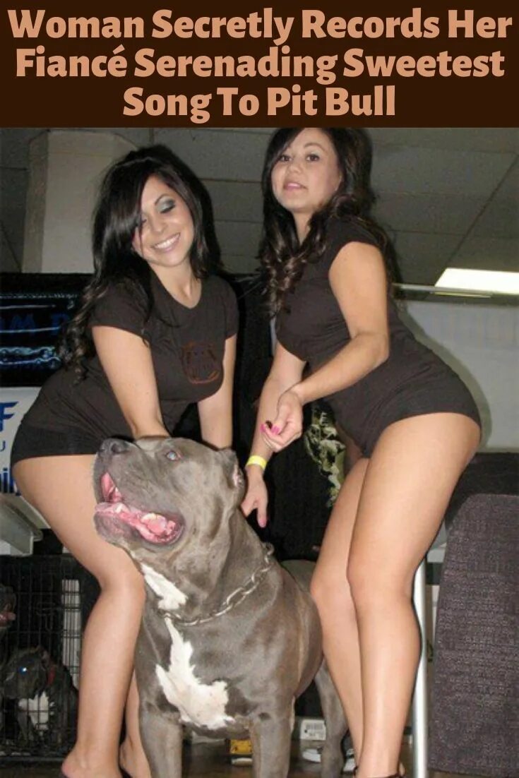 Девка зоофилия. Крупные женщины и собаки. Девушка с огромным догом. Девушка с питбулем. Женщина под собакой.