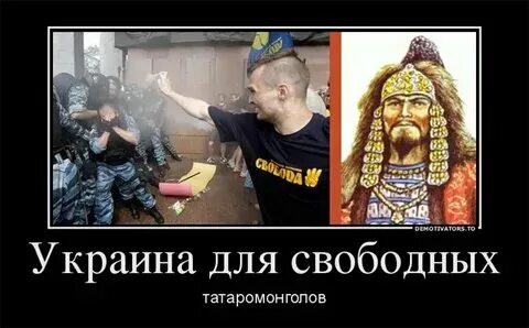 Свидомитов нет