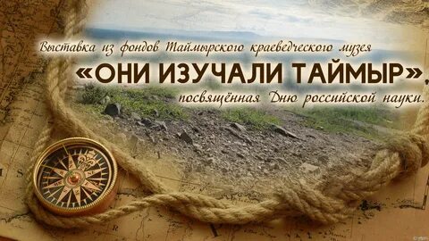 Таймыр инвест