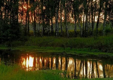Загорянский