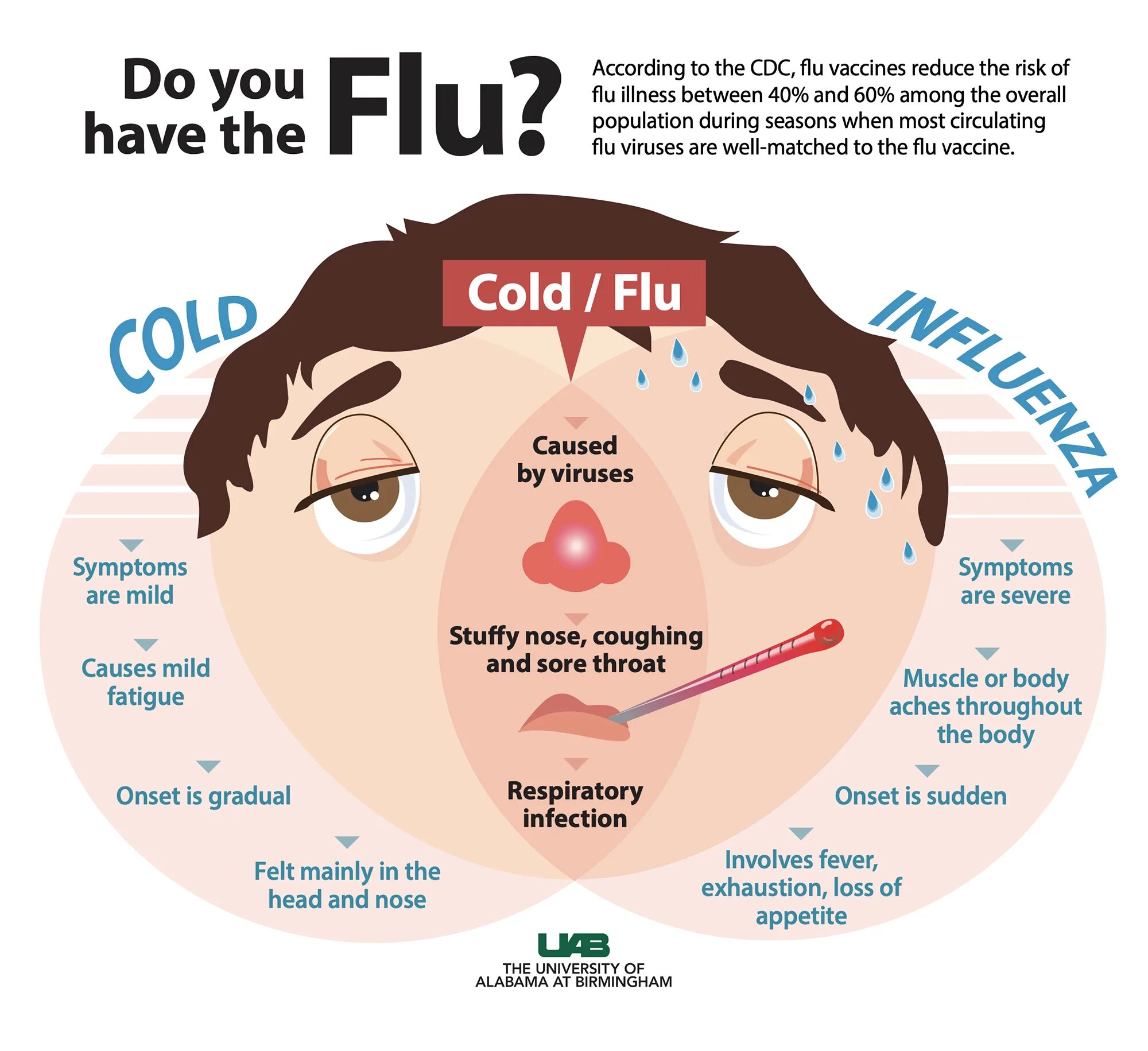 Did you catch a cold. Illness disease разница. cold vs flu. disease illness sickness разница. cold flu разница.