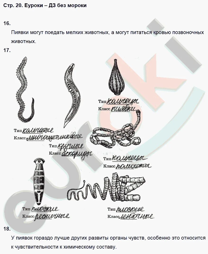 Биология 7 класс вопросы. Параграф по биологии 7 класс. Ответы по биологии 7 класс. Биология 7 класс вопросы и ответы. Контрольная работа беспозвоночные 7 класс