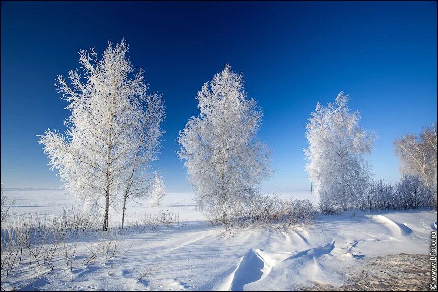 Кружился легкий снег