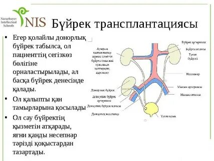 HD форматындағы қара спорттық порно видеолар