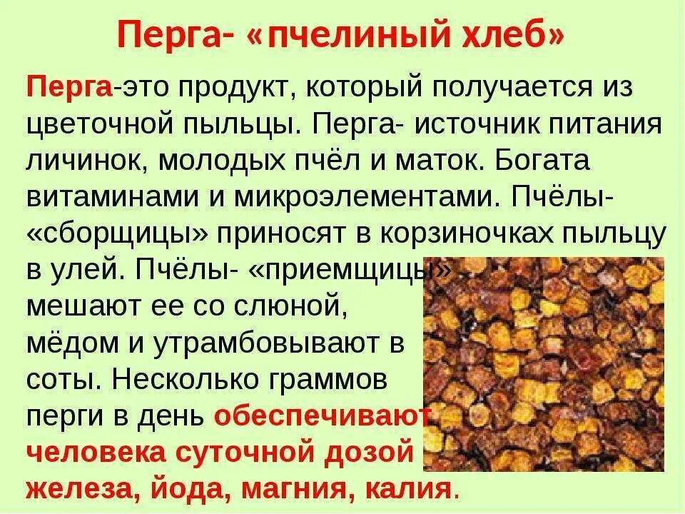 Перга полезные св- ва. Пчелиная перга лечебные. Перга продукты пчеловодства. Пыльца перга прополис. Пыльца польза и вред