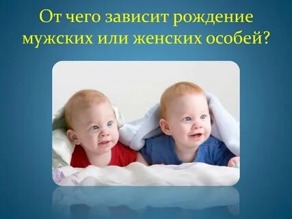 От чего зависит рождение