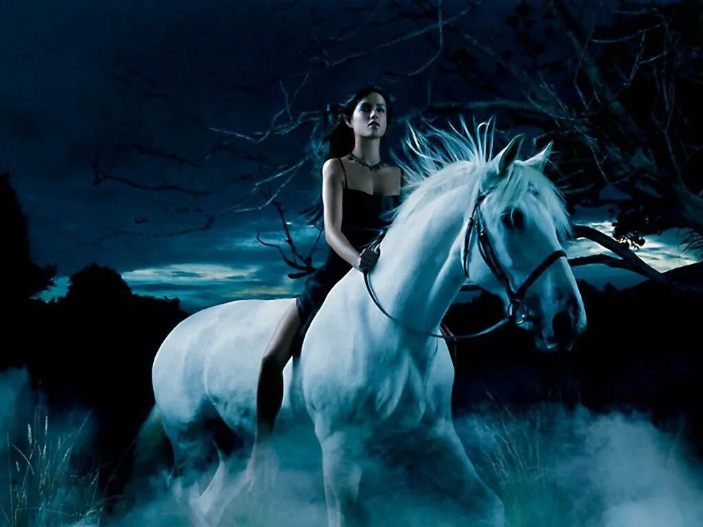 Черный на белом коне. Девушка на коне. Лошади фэнтези. Девушка и белая лошадь. Девушка на коне фэнтези.