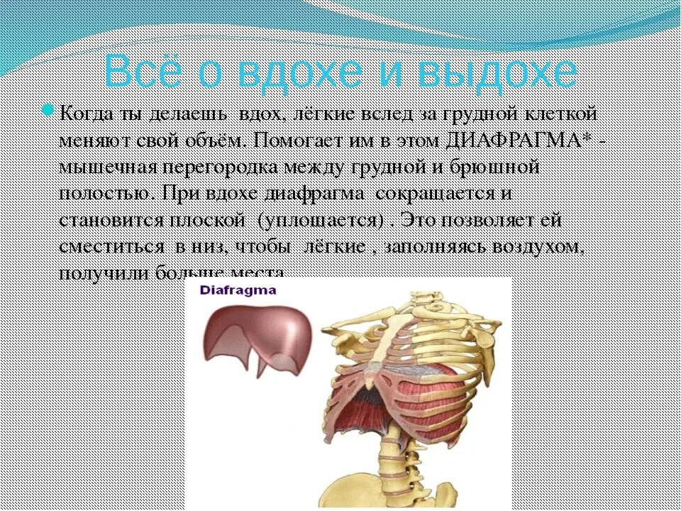 Трудно сделать вдох. Тяжело сделать вдох. Тяжело сделать полный вдох. Почему трудно сделать глубокий вдох. Причины тяжелого вдоха