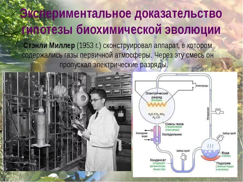 Какие экспериментальные доказательства можно привести в подтверждение. Гипотеза биохимической эволюции Стэнли Миллер. Биохимическая Эволюция Стенли Миллер. Теории возникновения жизни биохимической эволюции. Гипотеза биохимической эволюции доказательства.