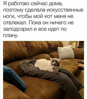 Пока отвлечены