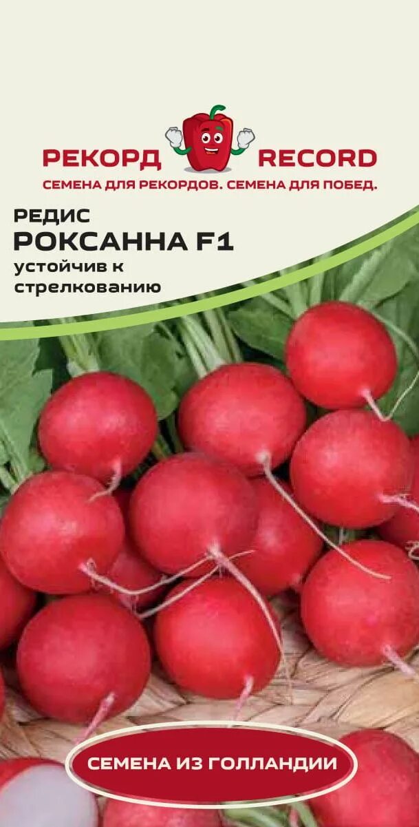 Редис отзывы. Голландские сорта редиса для открытого грунта. голландская редиска семена. редис рекорд.