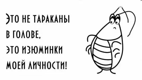 Отсутствие тараканов в голове 11 букв. Тараканы в голове приколы. Смешное про тараканов в голове. Тараканы в голове рисунок. Шутки про тараканов в голове.