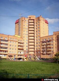 Ломоносов костылева