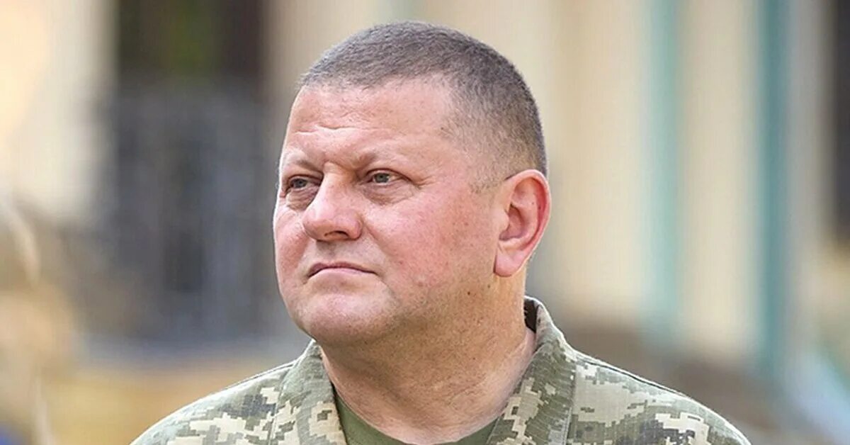 Валерием федоровичем залужным