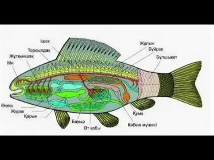 Сиськи бар ретро порно бейнелерді қараңыз