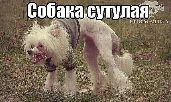 Ладно не лезь