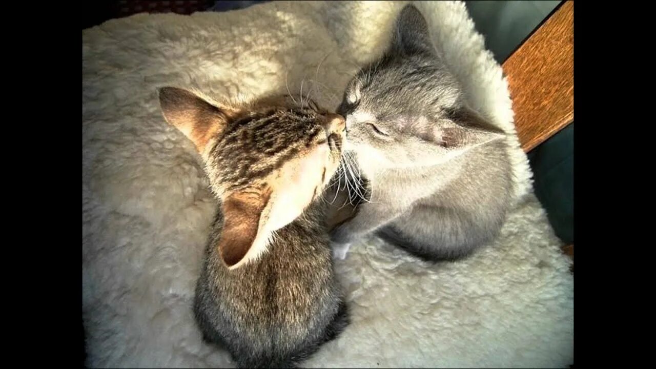 Человек обнимает другого. Любимого постоянно. Встреча влюбленных. Обнимаю с любовью. Фото с любимым человеком.